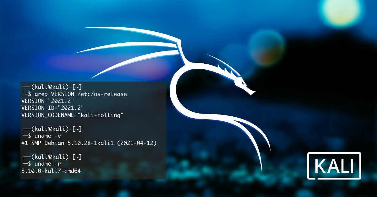 كيف تعمل تحديث واصلاح اخطاء kali linux